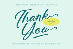 Amlerish Stagnate - Bold Handwritten Font Product Image 20