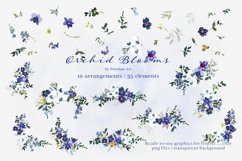 Watercolor Purple &amp; White Orchid Clipart Huge Set Product Image 5