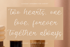 Amorfa Brimos - Elegant Handwritten Script Font Product Image 7