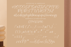 Amorfa Brimos - Elegant Handwritten Script Font Product Image 14