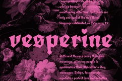 Amortem - A Lovesick Gothic Blackletter Font Product Image 12