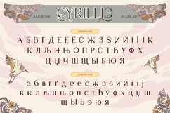 Amorthe Product Image 10
