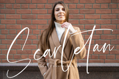 Amsterdam Silhouete - Modern Script Font Product Image 2