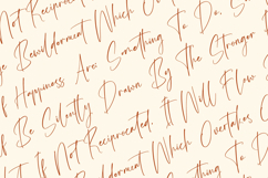 Amsterdam Silhouete - Modern Script Font Product Image 9