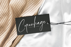 Amsterdam Silhouete - Modern Script Font Product Image 10