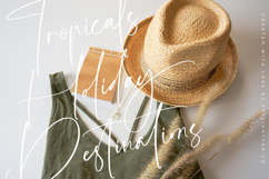 Amsterdam Silhouete - Modern Script Font Product Image 11