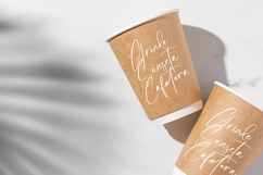 Amsterdam Silhouete - Modern Script Font Product Image 12