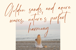 Amsterdam Silhouete - Modern Script Font Product Image 13