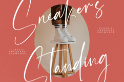 Amsterdam Silhouete - Modern Script Font Product Image 16