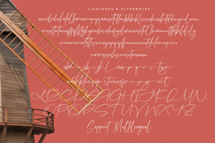 Amsterdam Silhouete - Modern Script Font Product Image 19