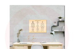Printable Human anatomy art medicine school Wall decor print Product Image 5