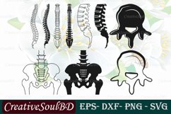 Anatomy Spine SVG Bundle Cut File Product Image 1