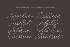 Anchesty Montaine - Stylish Calligraphy Font Product Image 13