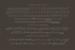 Anchesty Montaine - Stylish Calligraphy Font Product Image 18