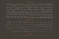Anchesty Montaine - Stylish Calligraphy Font Product Image 19