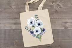  anemones sublimation