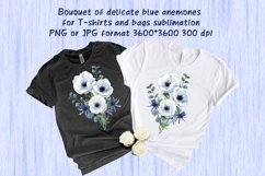  anemones sublimation