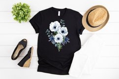  anemones sublimation