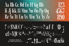 Angalter - Modern Display Font Product Image 18