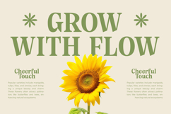 Angel &amp; Bunda - Groovy Serif Display Product Image 7