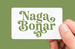 Angel &amp; Bunda - Groovy Serif Display Product Image 8