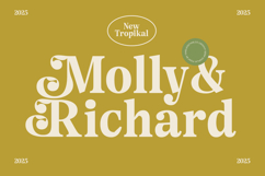 Angel &amp; Bunda - Groovy Serif Display Product Image 12