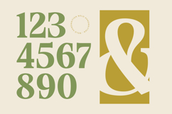 Angel &amp; Bunda - Groovy Serif Display Product Image 15