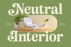 Angel &amp; Bunda - Groovy Serif Display Product Image 16