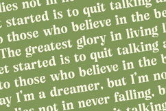 Angel &amp; Bunda - Groovy Serif Display Product Image 17