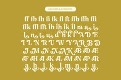 Angel &amp; Bunda - Groovy Serif Display Product Image 18