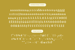 Angel &amp; Bunda - Groovy Serif Display Product Image 19