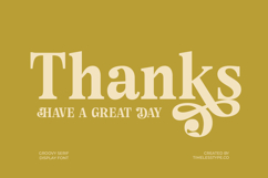 Angel &amp; Bunda - Groovy Serif Display Product Image 20