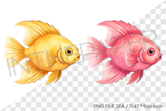 Yellow Pink Angelfish PNG Clipart Summer Ocean Watercolor Product Image 1