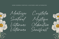 Angelin Noonday - Stylish Handwritten Font Product Image 14