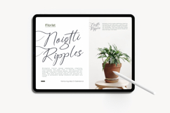 Angelin Noonday - Stylish Handwritten Font Product Image 17