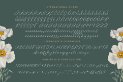 Angelin Noonday - Stylish Handwritten Font Product Image 18