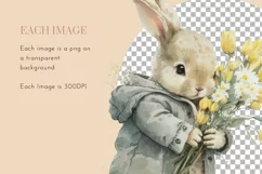 Animals and Teddy Watercolour Clipart PNG 54 Product Image 8