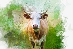 Animal Digital Painting Photo Effect Product Image 4