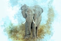Animal Digital Painting Photo Effect Product Image 9