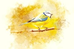 Animal Digital Painting Photo Effect Product Image 11