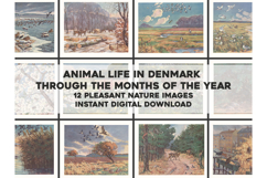12 Prints Danish Animal Life in the Months Restored Images Product Image 1