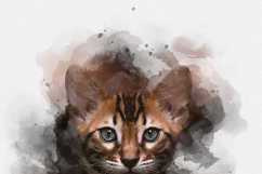 Animal Portrait Watercolor Effect Product Image 2