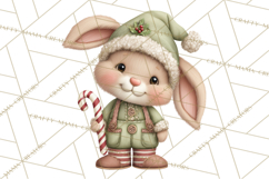 Christmas Animal Santa and Elves Mini World Clipart PNG Product Image 5