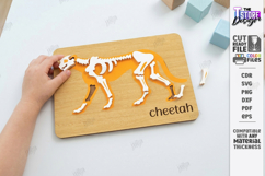 Animal Skeleton Laser Cut | Anatomy Puzzles | Learning Bones Product Image 1