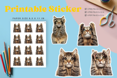 Cat Sticker Printable Funny Cat Meme Sticker Kitty Faces_1 Product Image 1