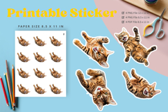 Cat Sticker Printable Funny Cat Meme Sticker Kitty Faces_10 Product Image 1