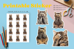 Cat Sticker Printable Funny Cat Meme Sticker Kitty Faces_11 Product Image 1