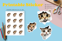 Cat Sticker Printable Funny Cat Meme Sticker Kitty Faces_13 Product Image 1
