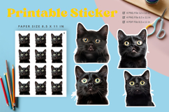 Cat Sticker Printable Funny Cat Meme Sticker Kitty Faces_2 Product Image 1
