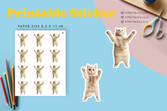Cat Sticker Printable Funny Cat Meme Sticker Kitty Faces_18 Product Image 1